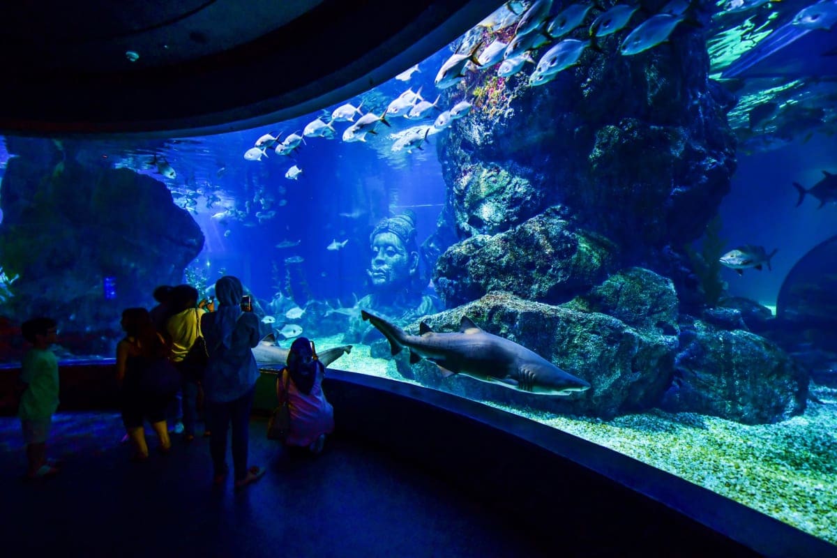 Sealife bangkok