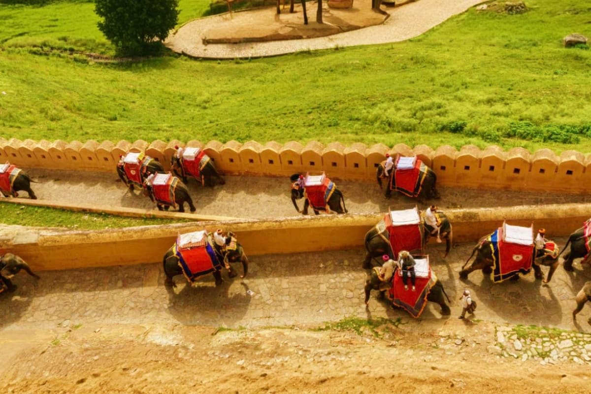 Royal Heritage Escape-Premium 5-Day Udaipur and Jaipur Tour Elephant Ride at Amber fort Jaipur