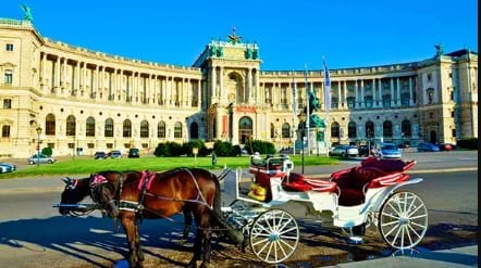 VIENNA VIENNA