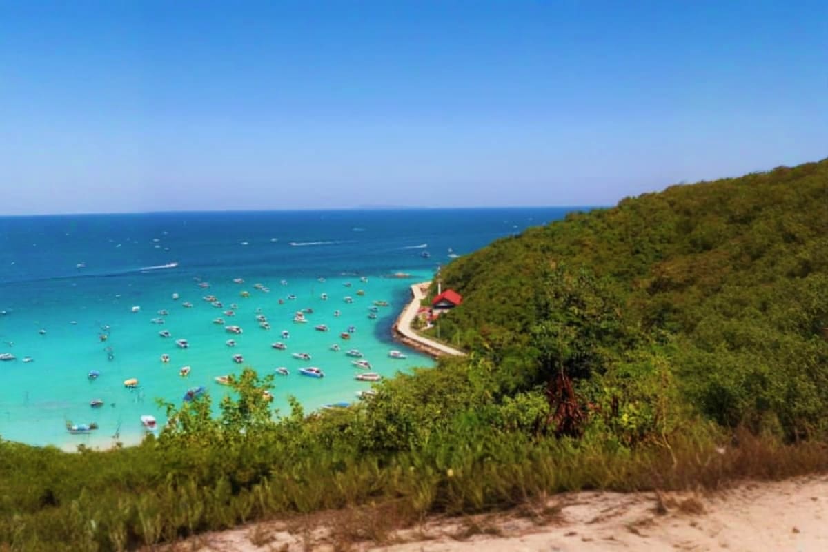 Coral Island Coral Island