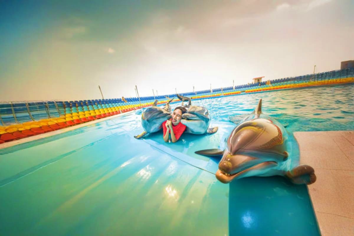 Dolphin Bay