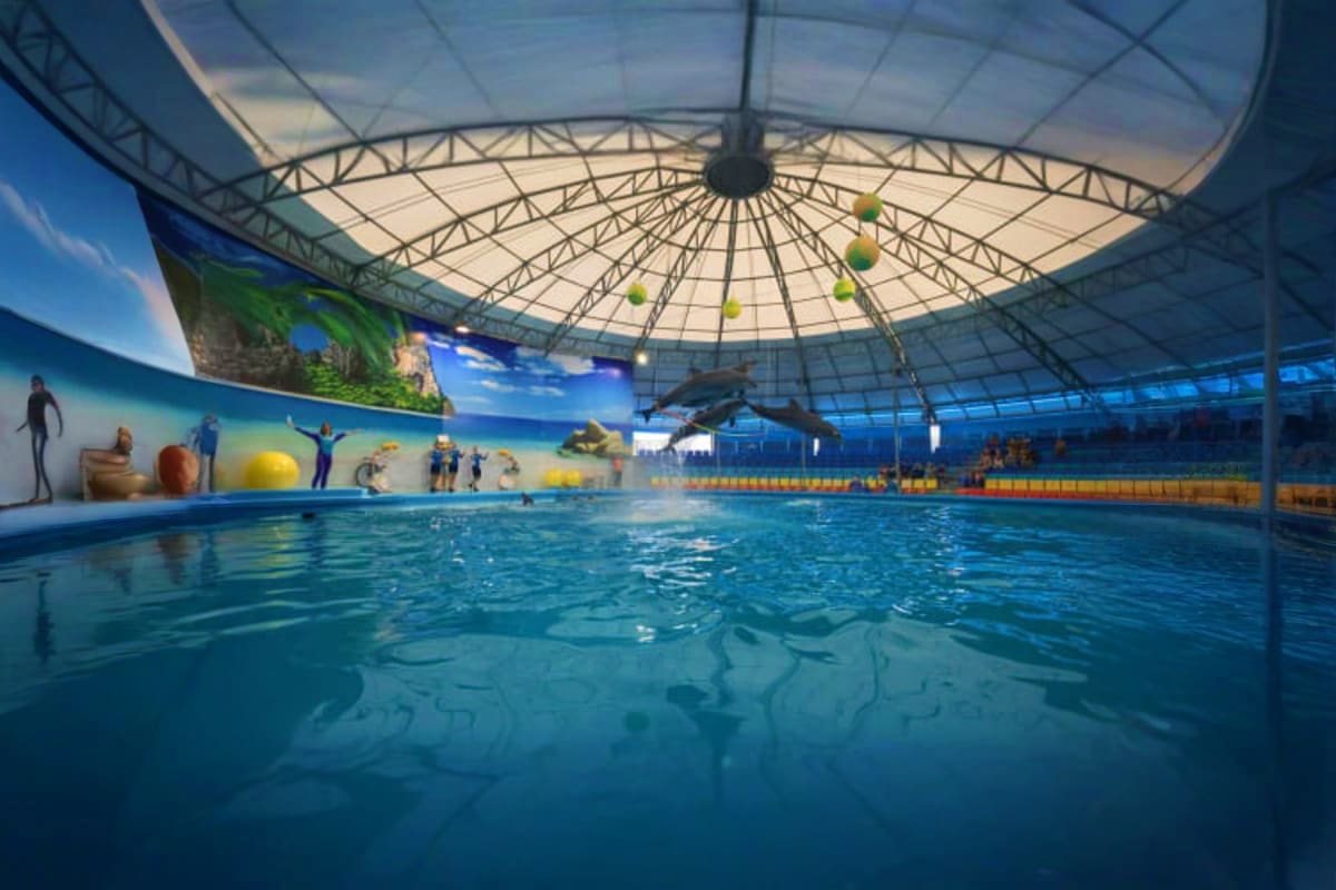 Dolphin Bay