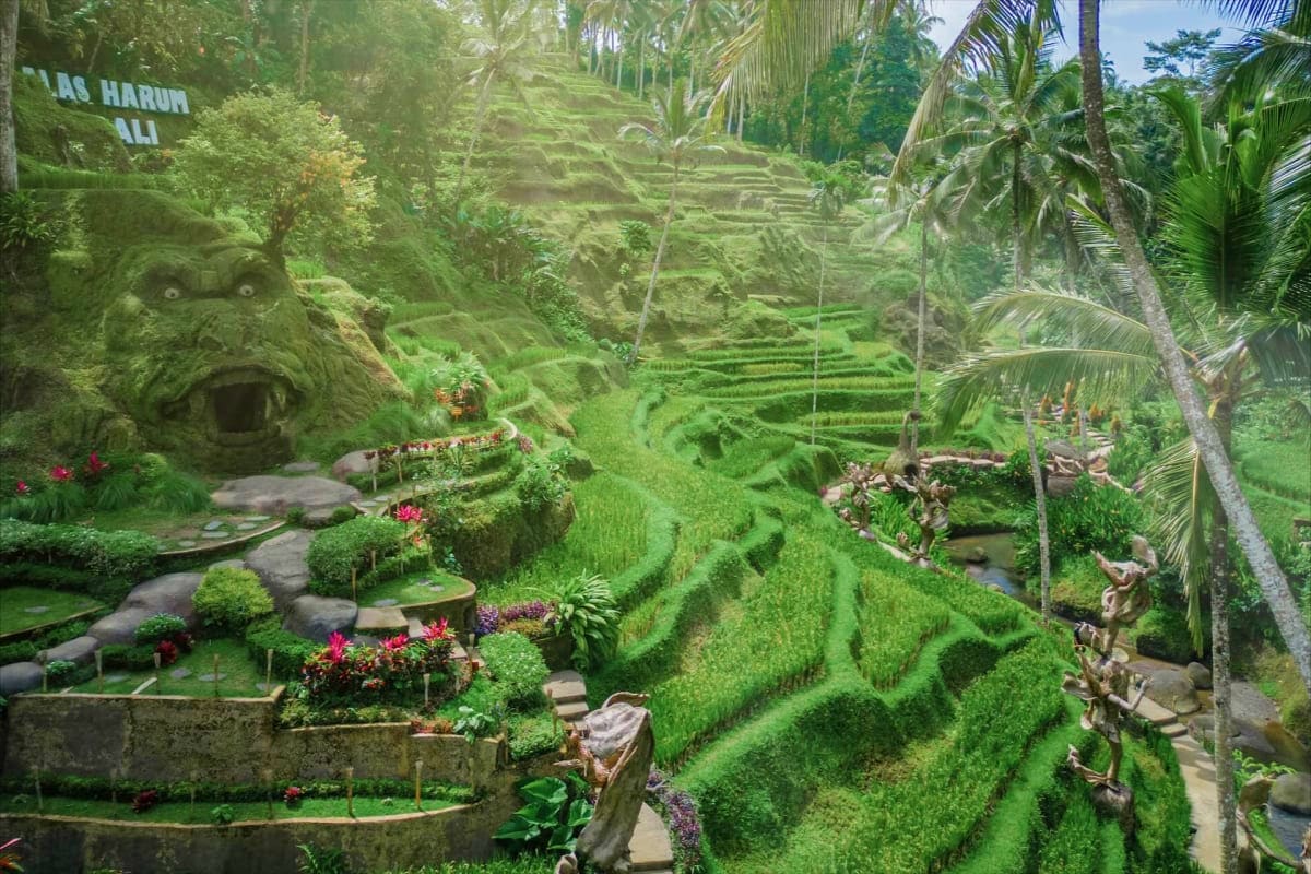 Alas Harum Bali in Tegallalang Ubud Alas Harum Bali in Tegallalang Ubud