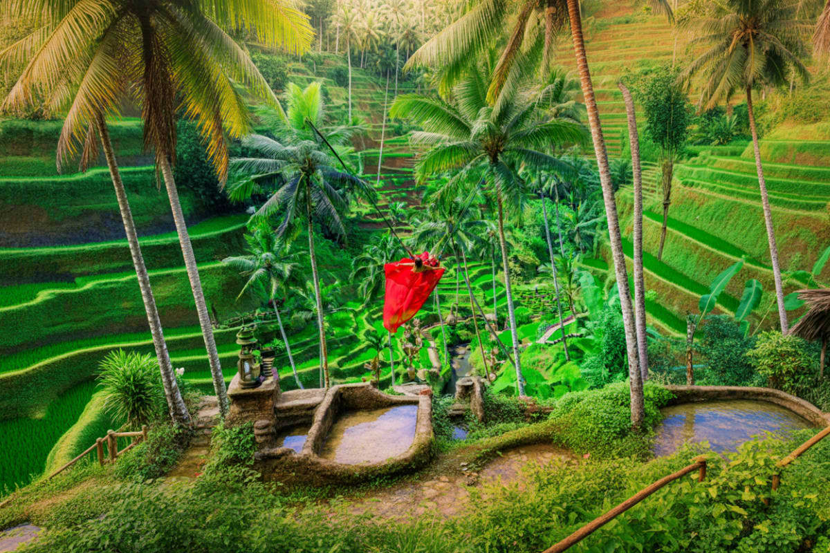 Alas Harum Bali in Tegallalang Ubud Alas Harum Bali in Tegallalang Ubud