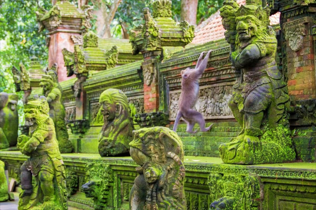 Sacred Monkey Forest Ubud Sacred Monkey Forest Ubud