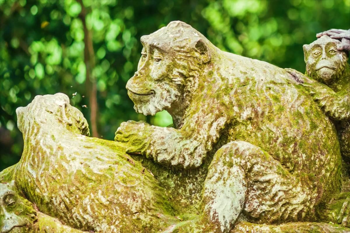 Sacred Monkey Forest Ubud Sacred Monkey Forest Ubud