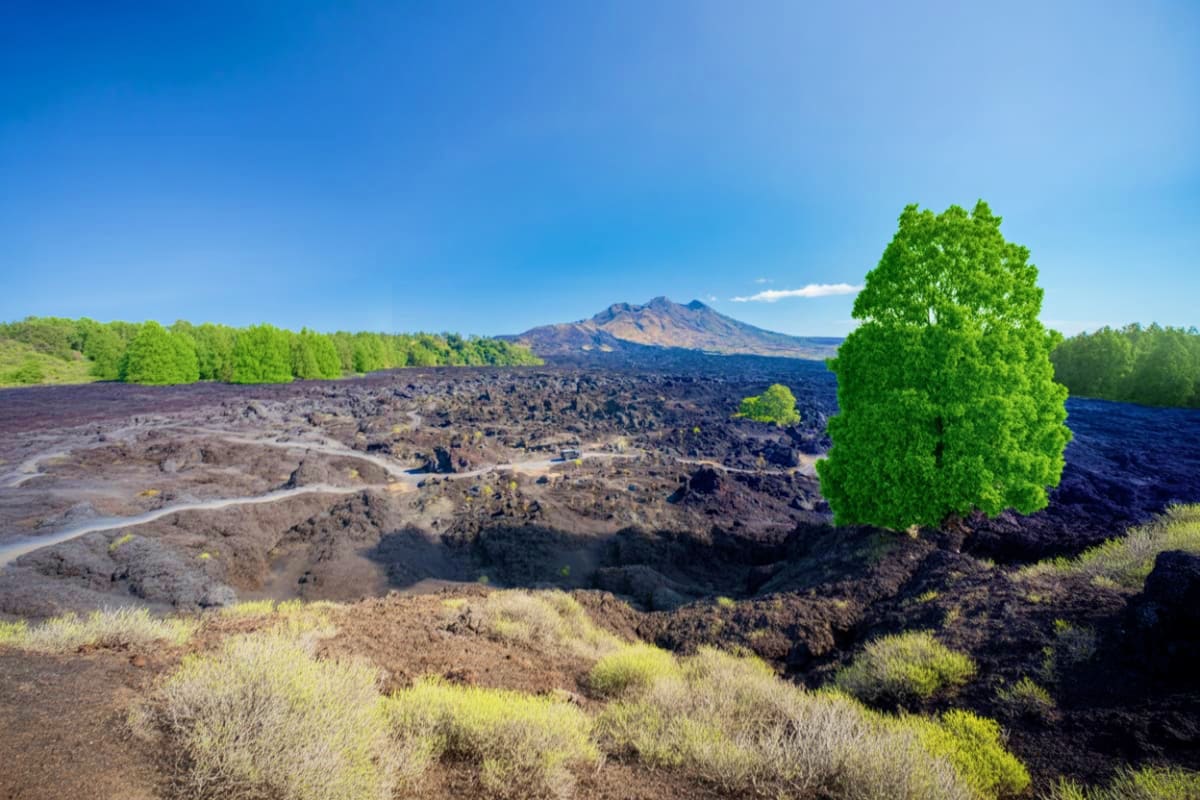 Ubud Mount Batur Full-Day Adventure Dirt Bike Experience Black Lava Tour