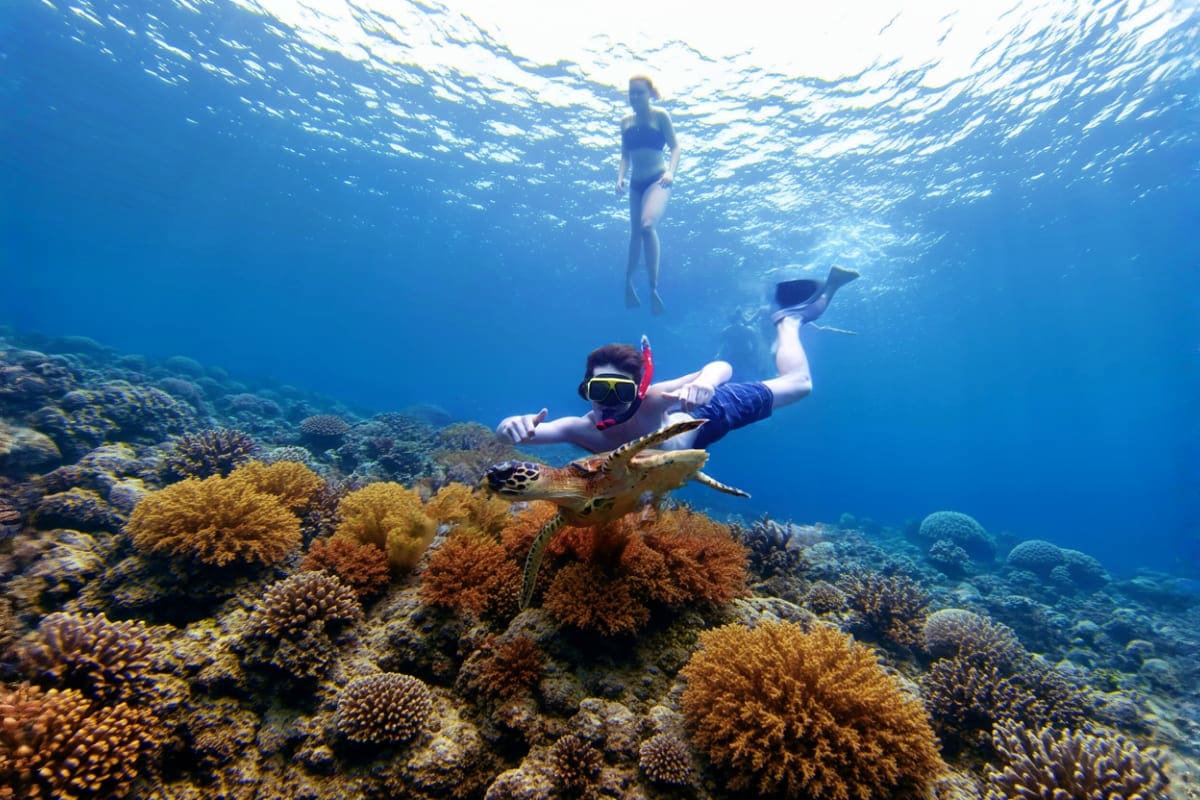 Snorkelling Day Tour in Nusa Lembongan and Nusa Penida from Bali Snorkelling Day Tour in Nusa Lembongan and Nusa Penida from Bali