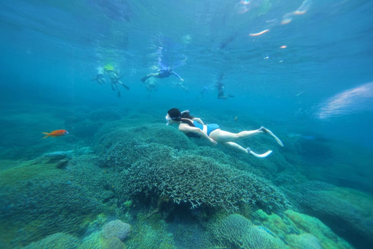 Snorkelling Day Tour in Nusa Lembongan and Nusa Penida from Bali Snorkelling Day Tour in Nusa Lembongan and Nusa Penida from Bali