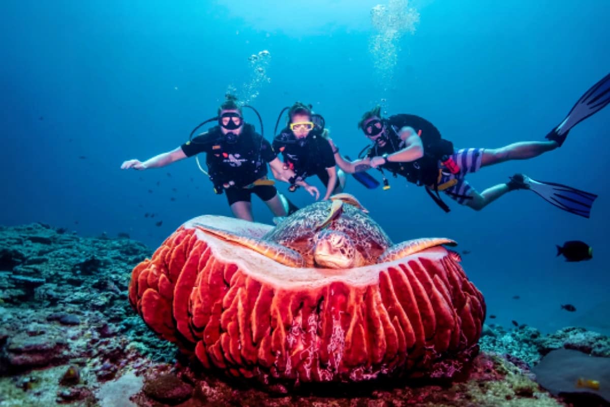 Scuba Diving Gili Islands