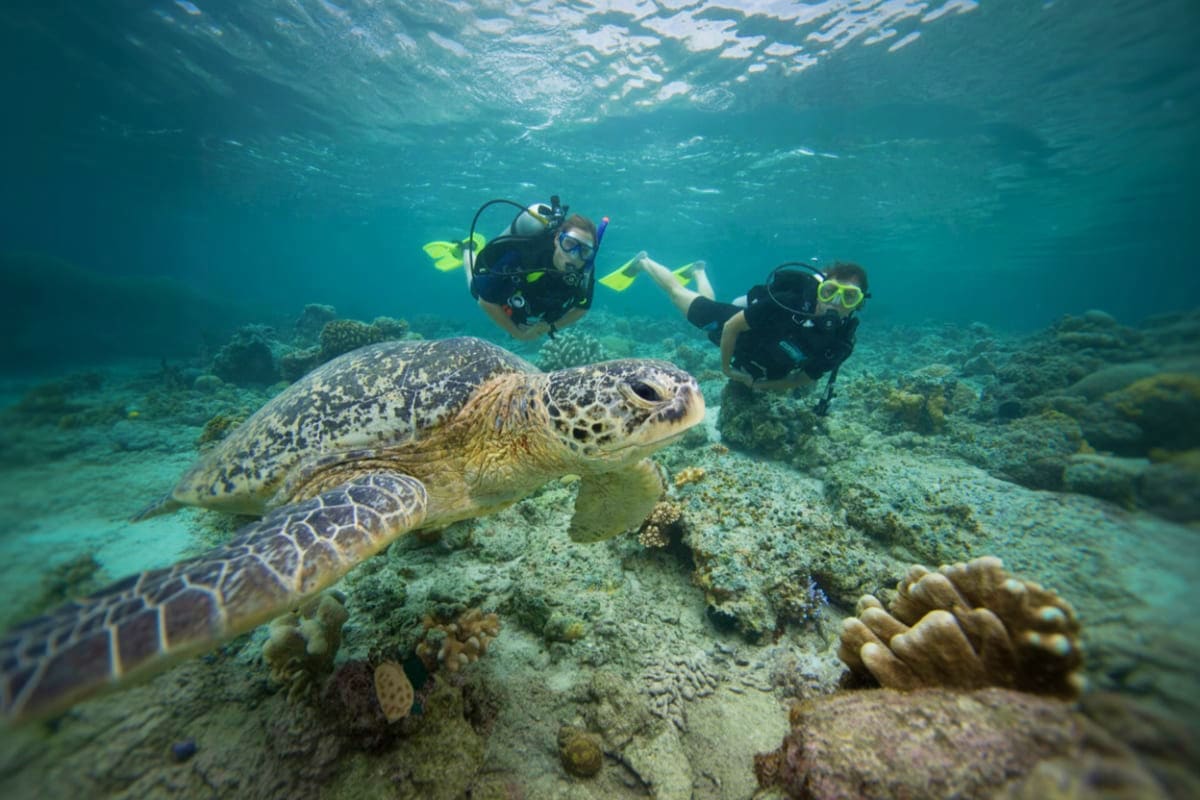 Scuba Diving Gili Islands