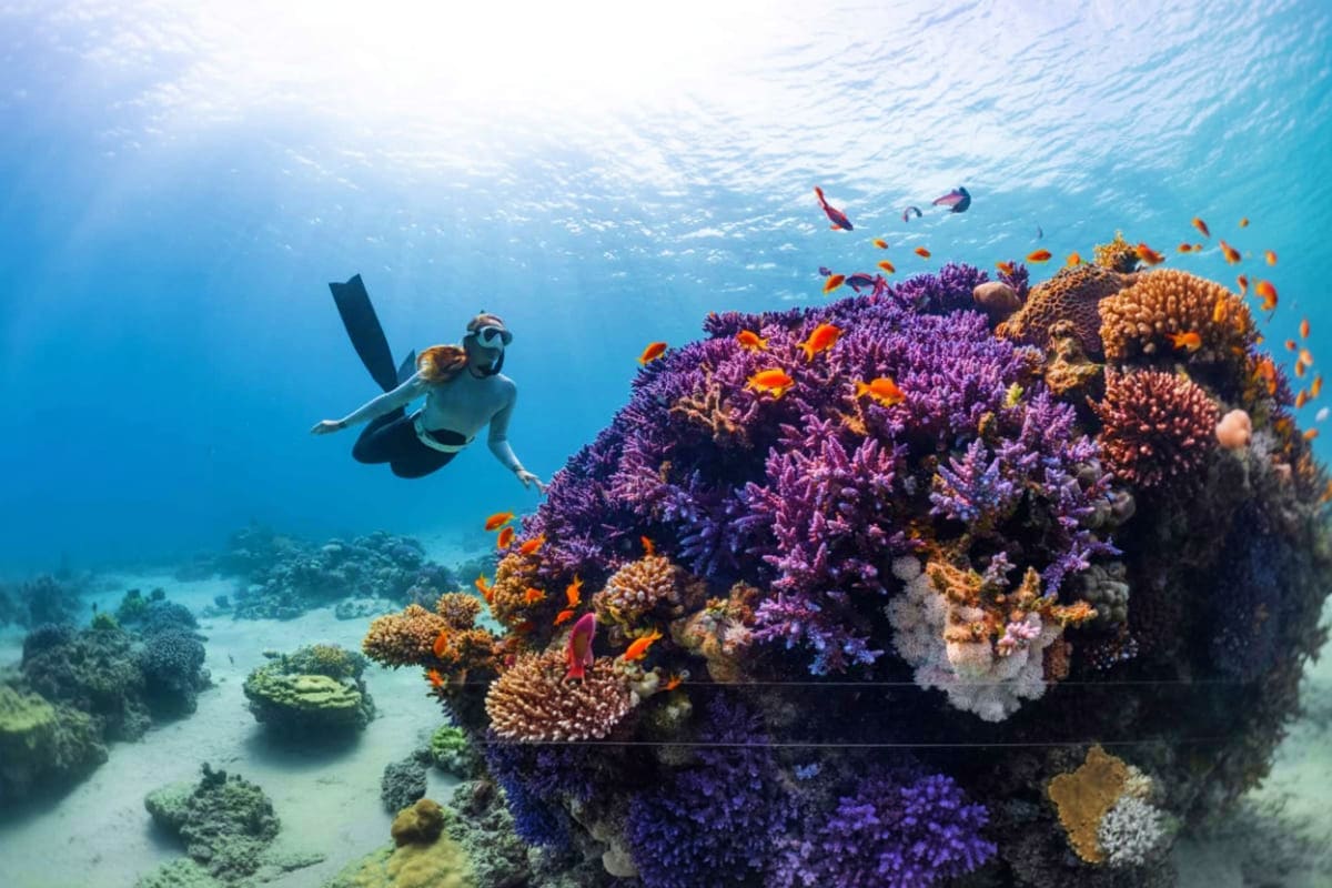 Scuba Diving Gili Islands