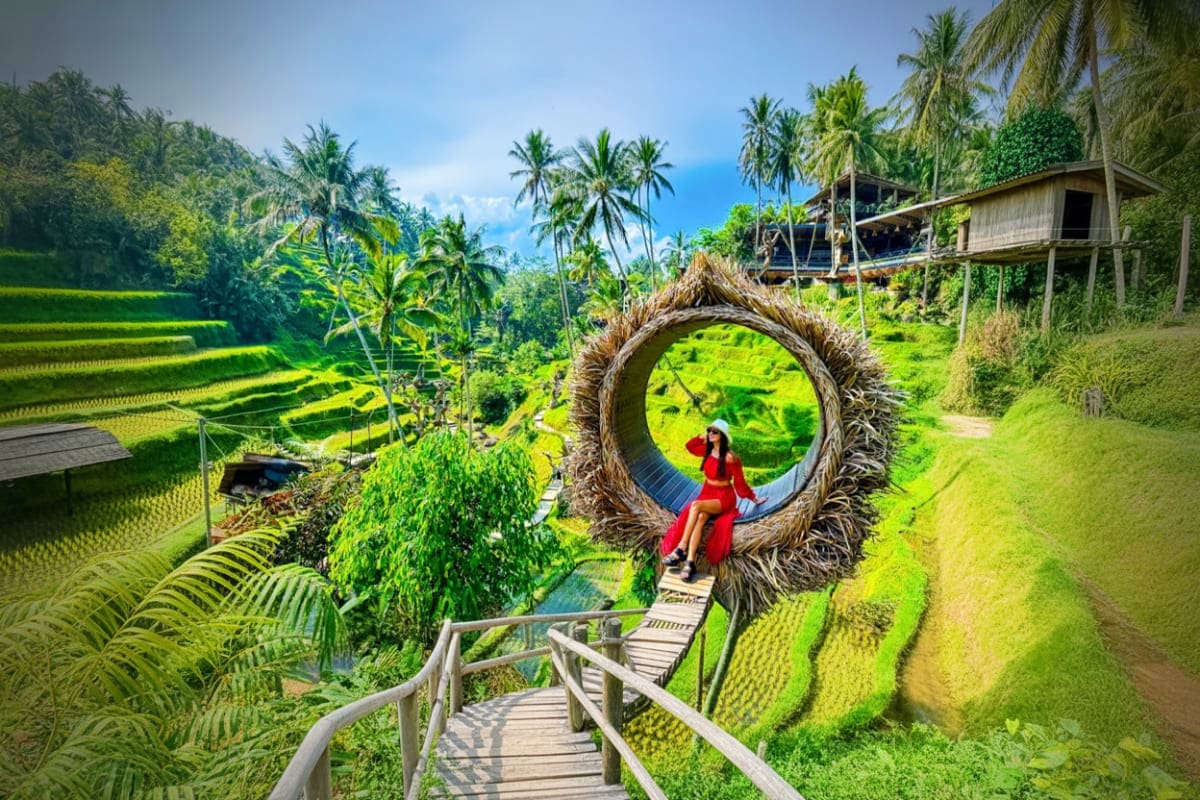 Ubud ATV Ride Rafting and Jungle Swing with Lunch Ubud ATV Ride Rafting and Jungle Swing with Lunch