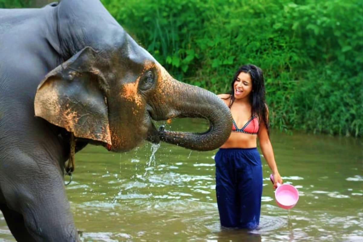 Kanta Elephant Sanctuary Half Day Visit