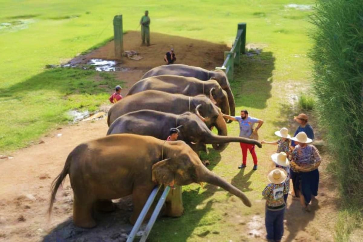 Kanta Elephant Sanctuary Full Day Visit