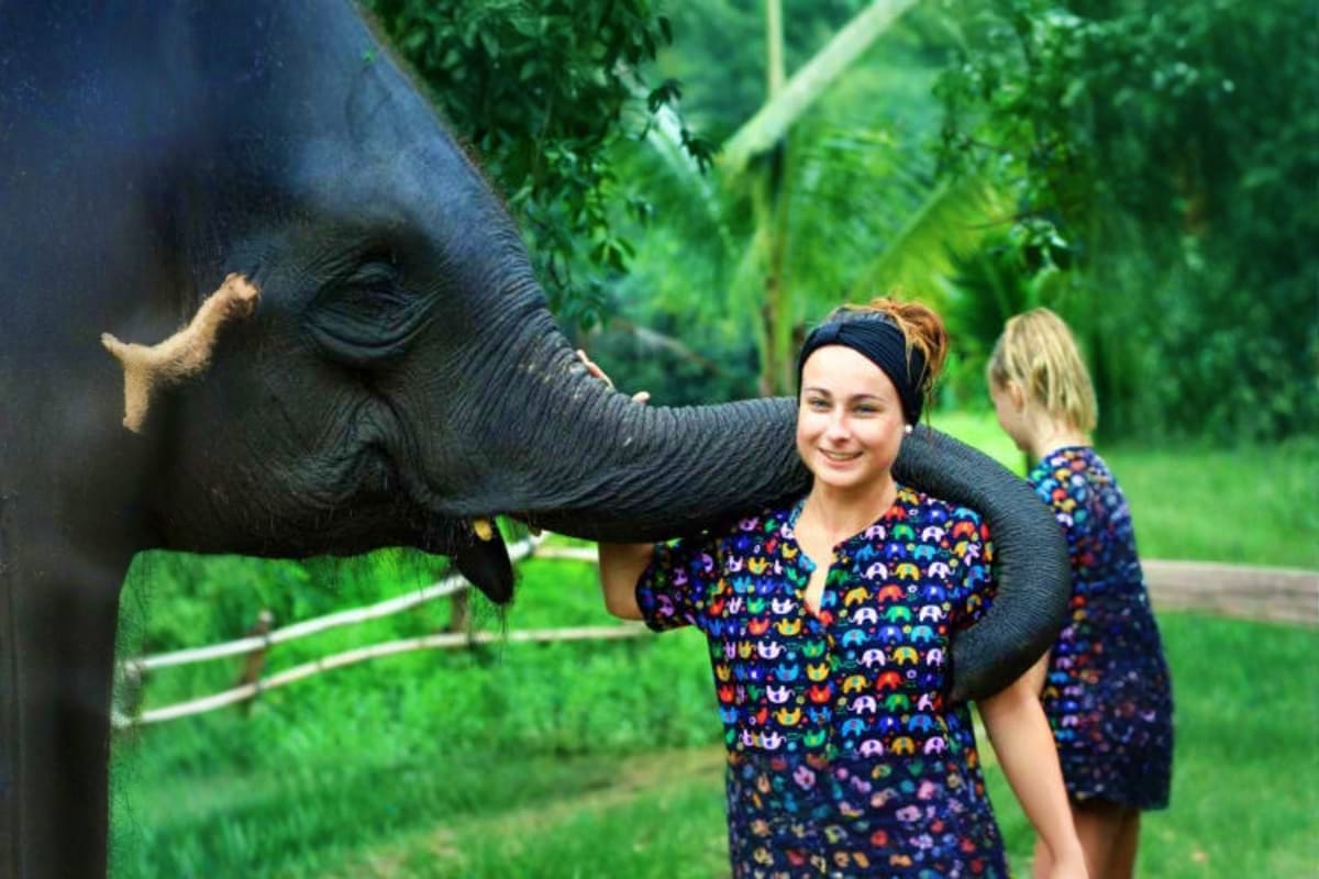 Kanta Elephant Sanctuary Full Day Visit