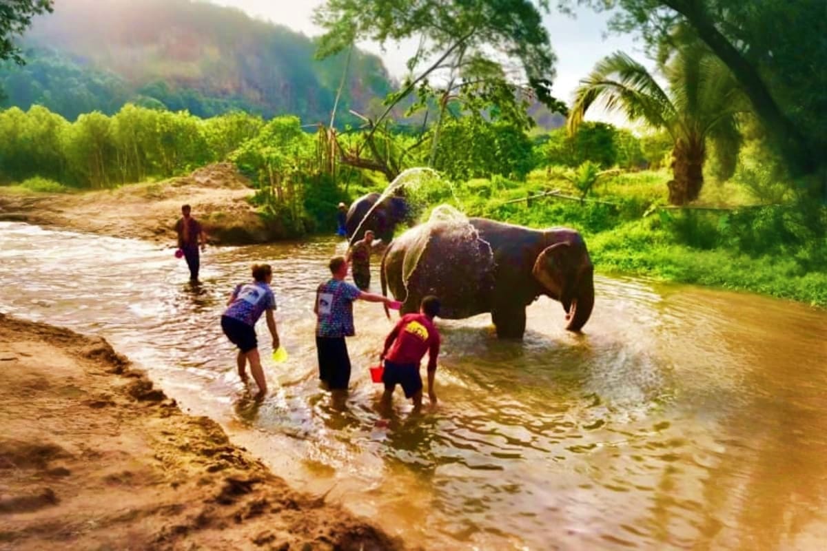 Kanta Elephant Sanctuary Full Day Visit