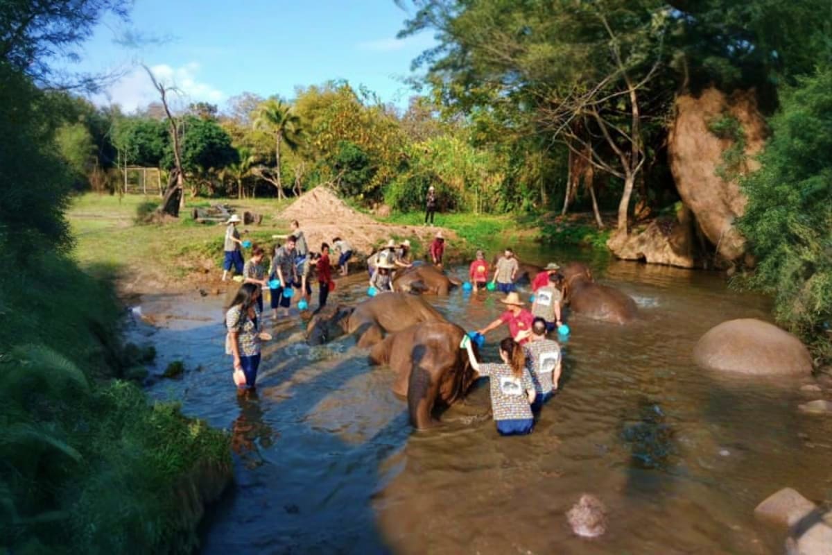 Kanta Elephant Sanctuary Full Day Visit