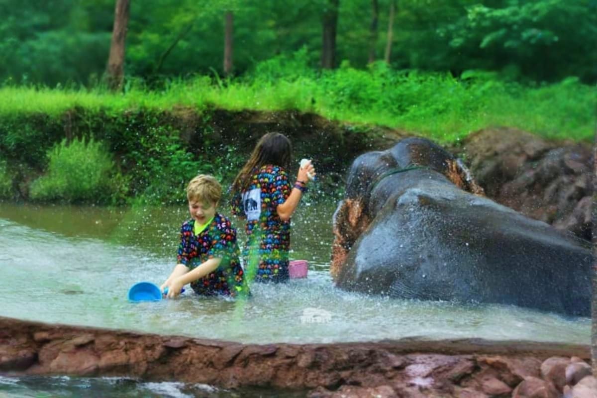 Kanta Elephant Sanctuary Full Day Visit