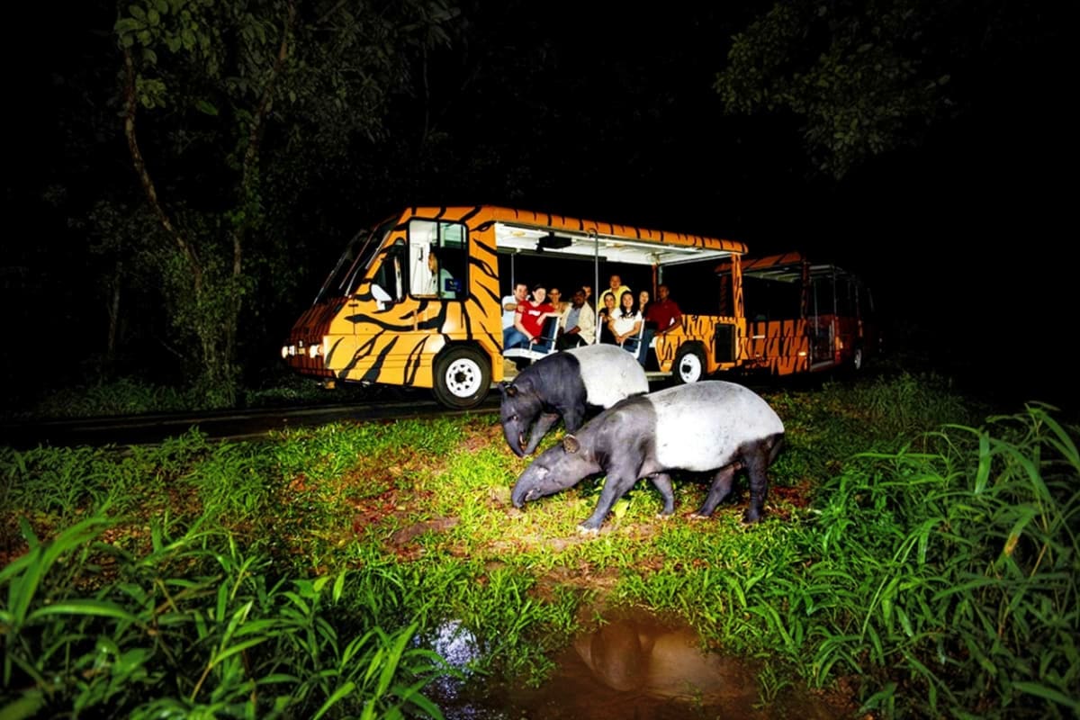 Chiang Mai Night Safari