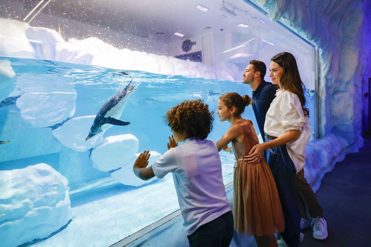 dubai-mall-aquarium-underwater-zoo-dubai-uae