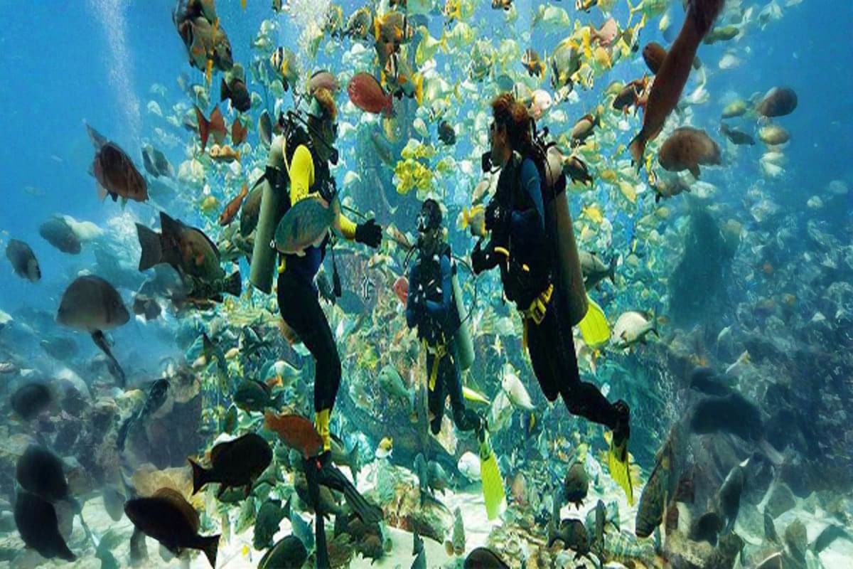 Scuba Diving Tour scuba-diving-1