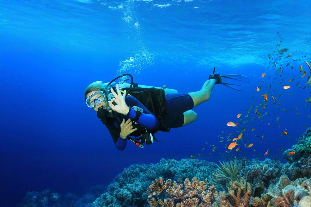 Scuba Diving Tour scuba