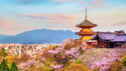 Kyoto (Osaka), Japan 