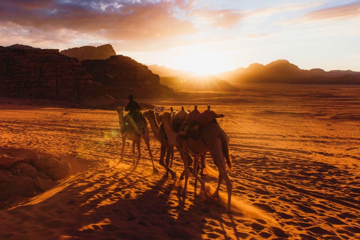 Jordan Highlights Escape Camel Ride in Desert