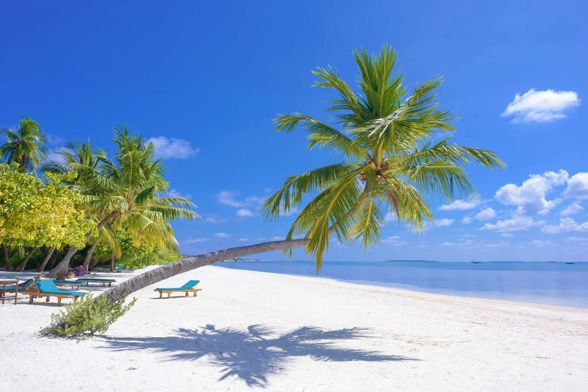 Beach in maldives