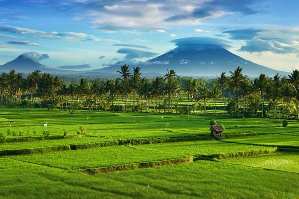 Central Bali