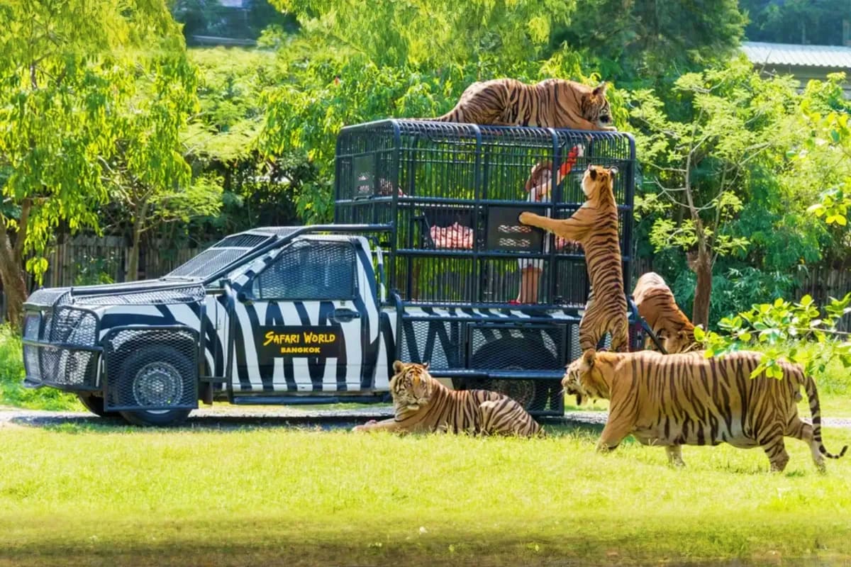 Safari World