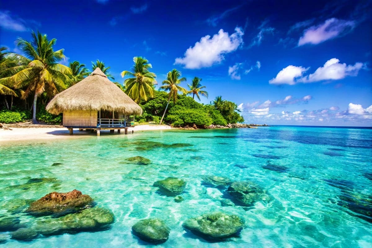 Fly to Maldives Maldives Beaches