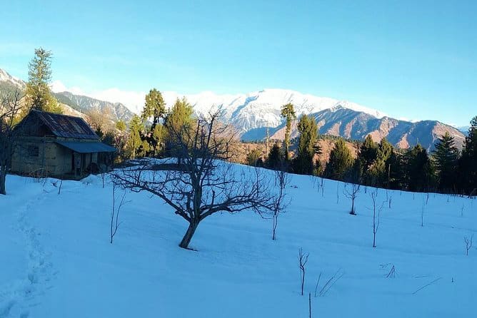 Shimla to Kufri Excursion Shimla to Kufri Excursion