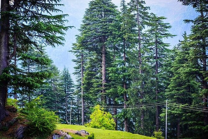 Shimla to Manali a Scenic Himalayan Drive Shimla to Manali a Scenic Himalayan Drive