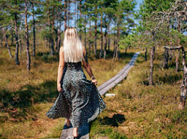 Pärnu to Tallinn + Leisure Time Pärnu to Tallinn + Leisure Time