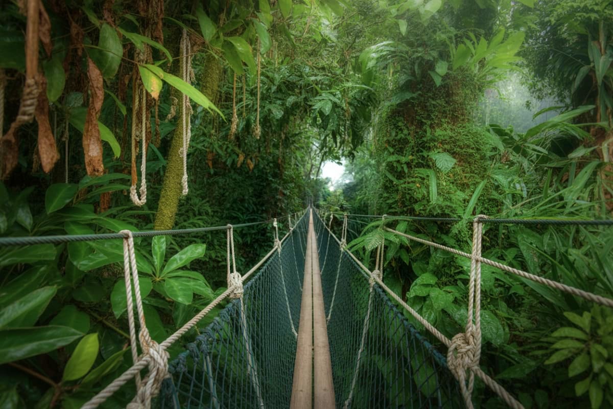 Taman Negara Tour with Lata Berkoh Falls and River Expedition