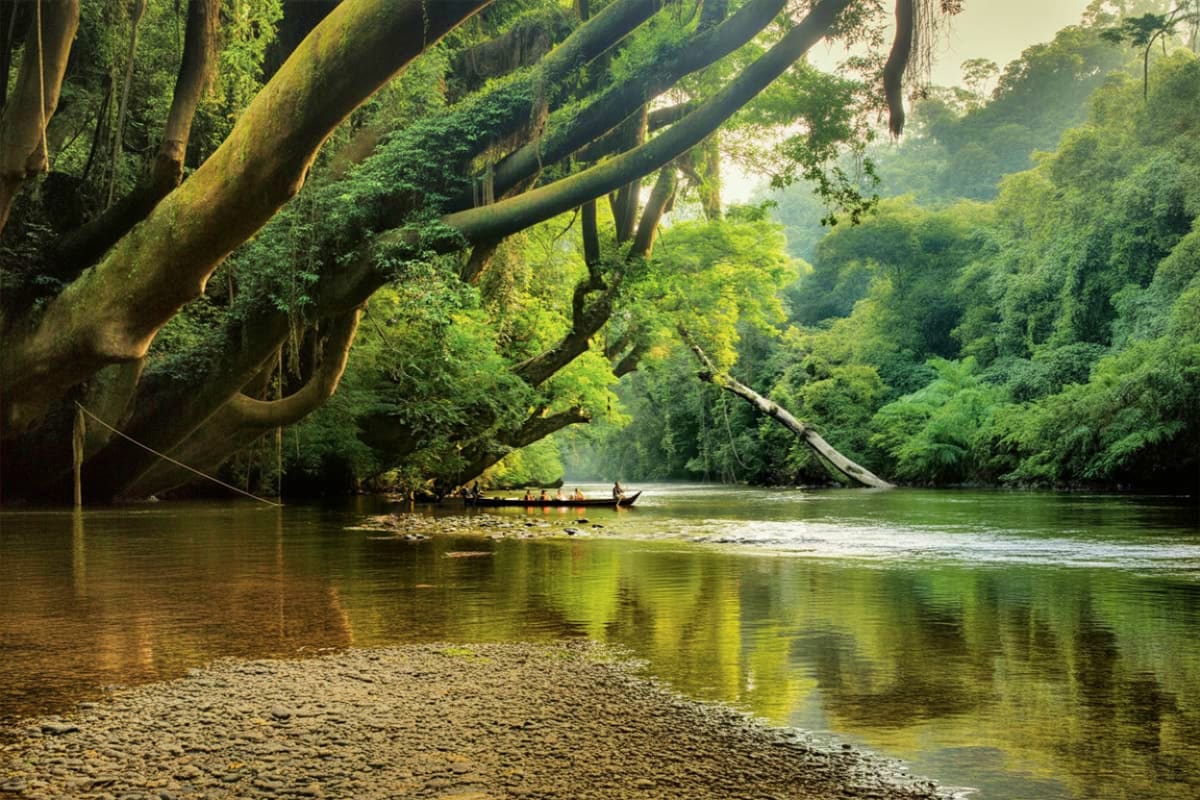 Taman Negara Tour with Lata Berkoh Falls and River Expedition