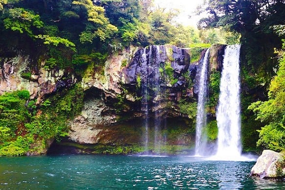 Black River Gorges National Park Mauritius