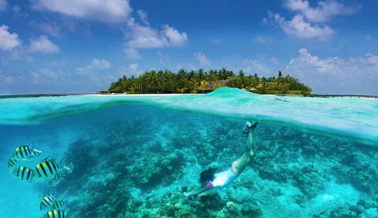 Maldives Back