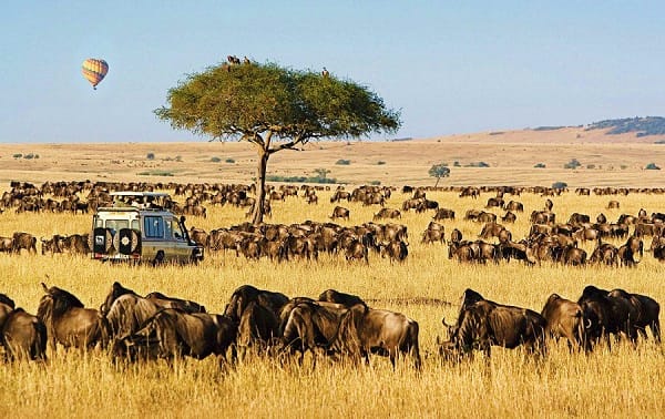 Lake Naivasha/Elementaita – Masai Mara Game Reserve