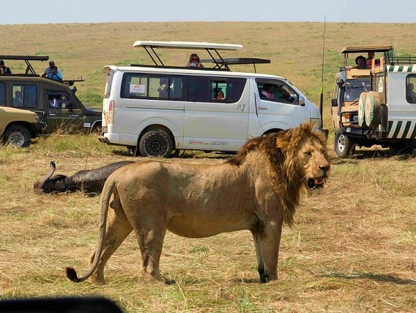 Full day of game-viewing!