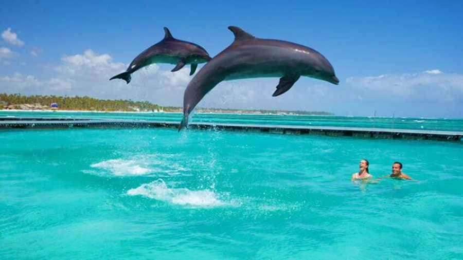 Dolphin Tour & Jozani Forest