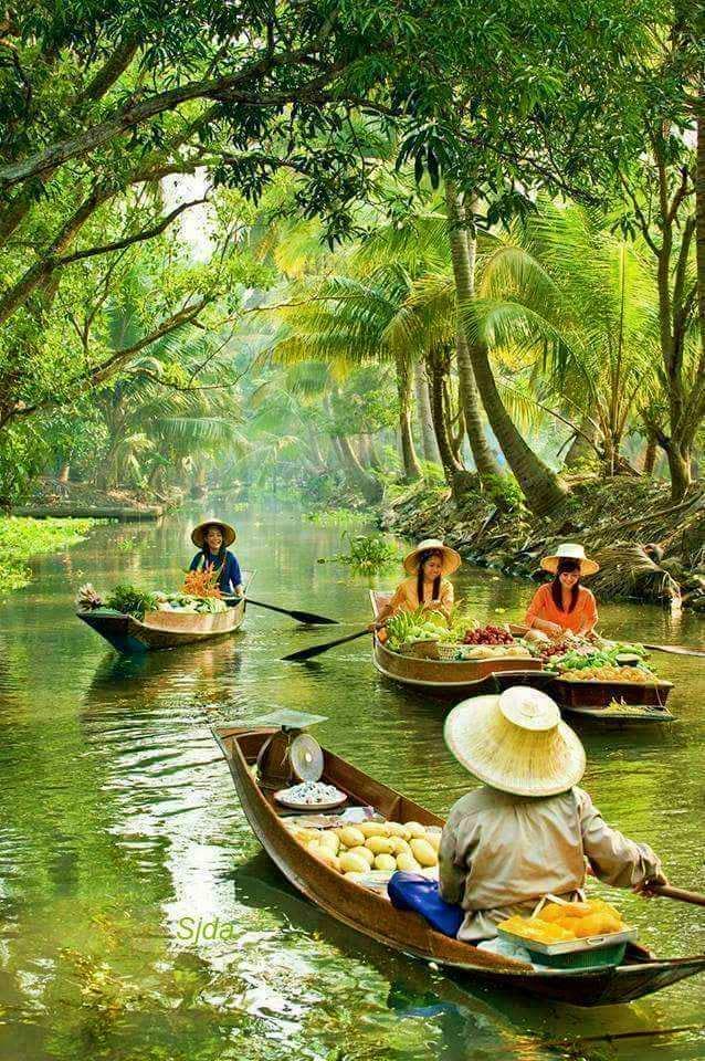 Mekong Delta Tour Mekong Delta Tour