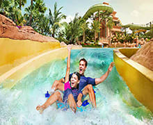 Atlantis Aquaventure, Lost World Aquarium, and Evening Desert Safari