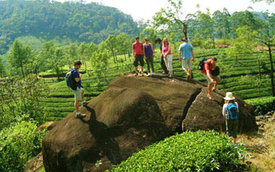 Drive to Thekkady