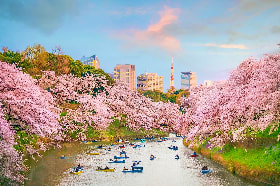 TOKYO TOKYO