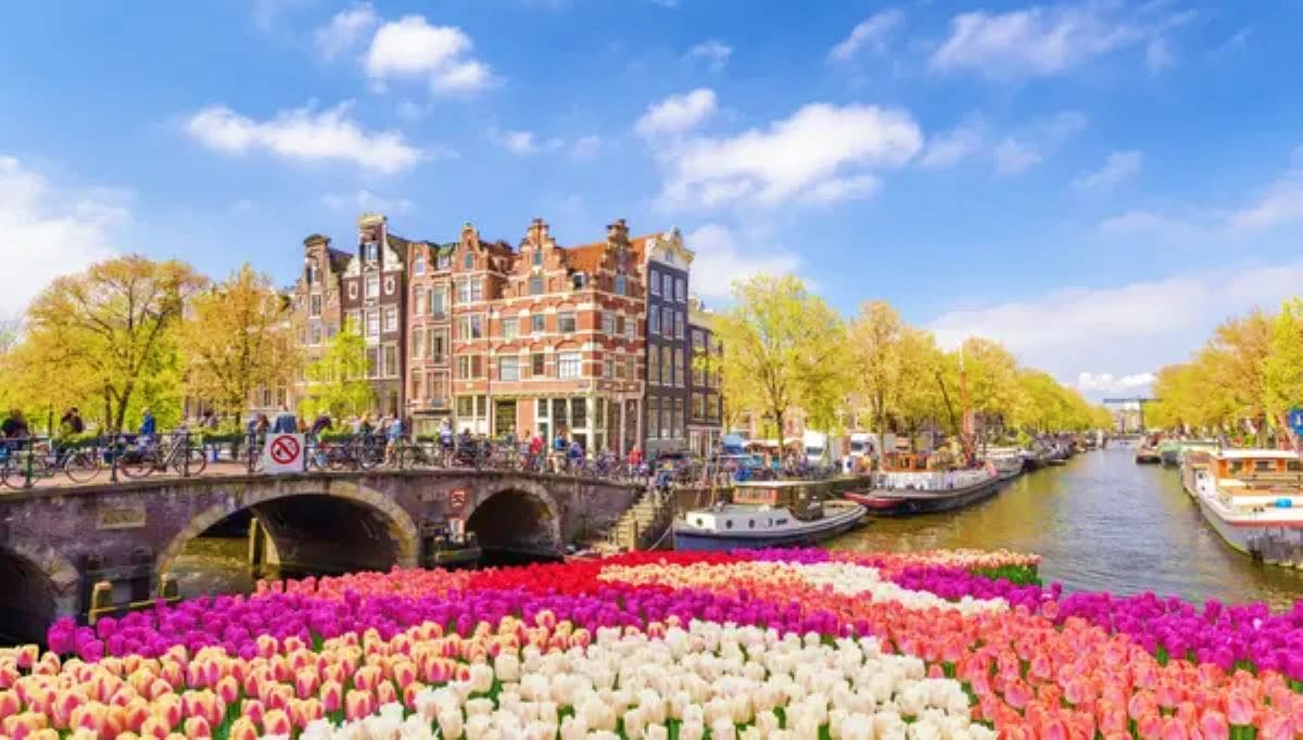 Frankfurt – Rhine Cruise – Cologne – Amsterdam