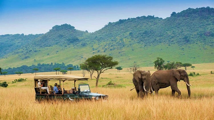 Full day of game-viewing!