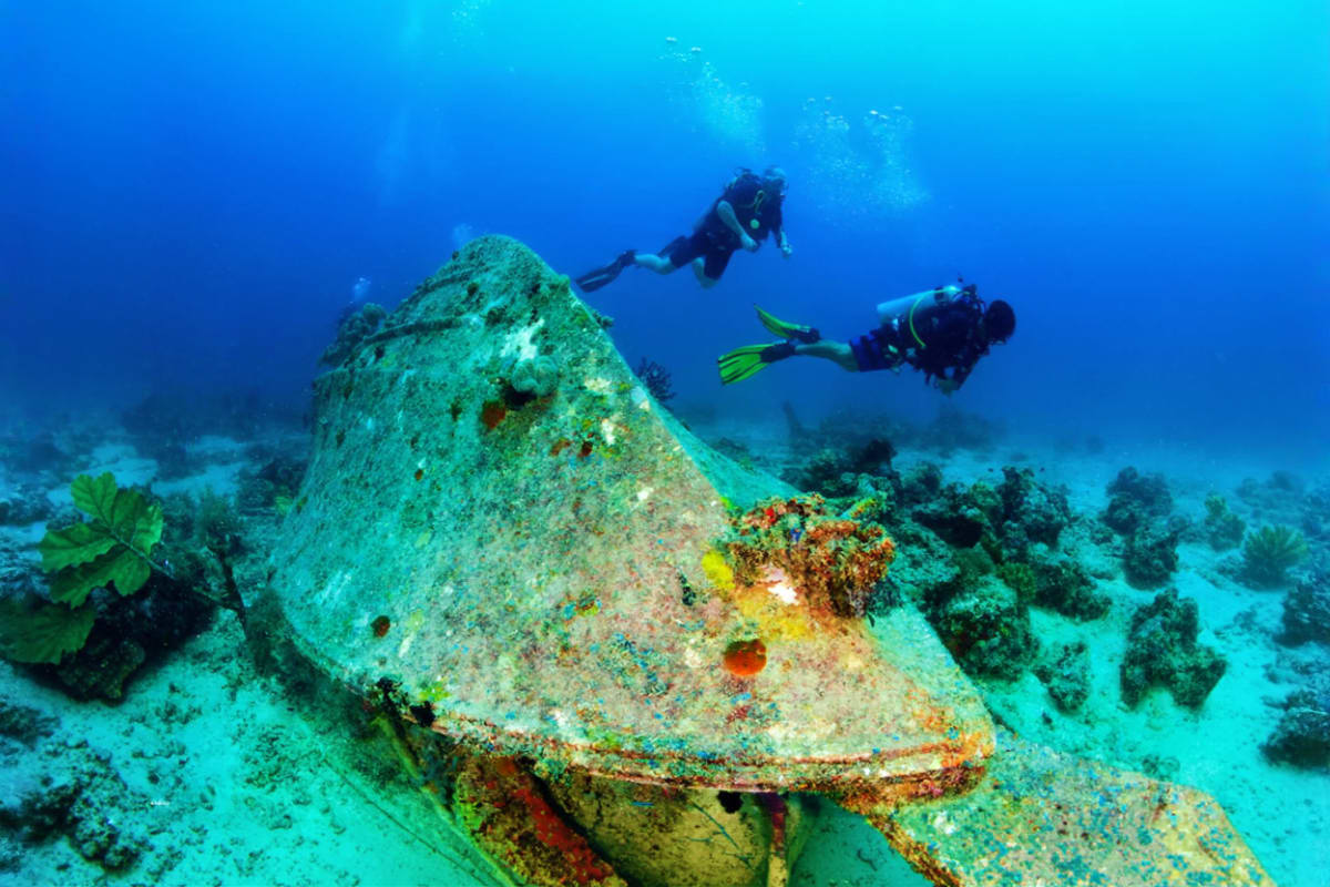 Discover Scuba Diving by WaterColors